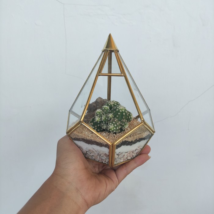 Piramidies - Terrarium Kaktus - Terarium - (DIY) KIT Terrarium - Tanpa tatakan