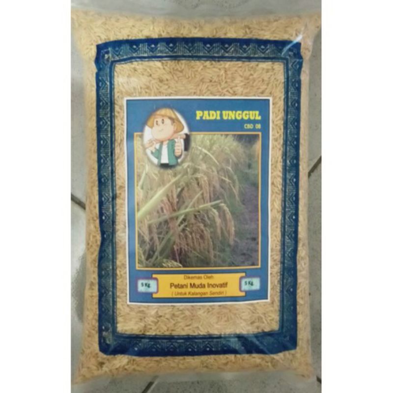 Benih padi, Padi unggul CBD 08 (CUTBADA'08)