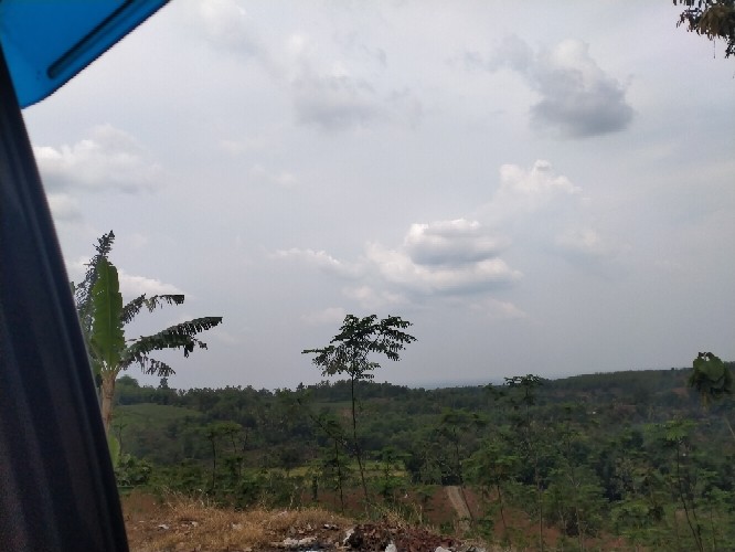 Sale ! Sepatu Slop Pantofel Wanita New Paradise Slp06 / Sepatu Kantor Wanita Kulit Asli - Coklat