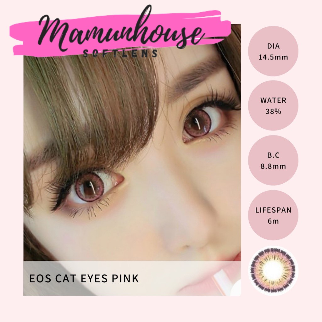 ORIGINAL EOS Softlens Cats Eyes catseyes cateyes brown grey blue pink softlens soflens softlenses