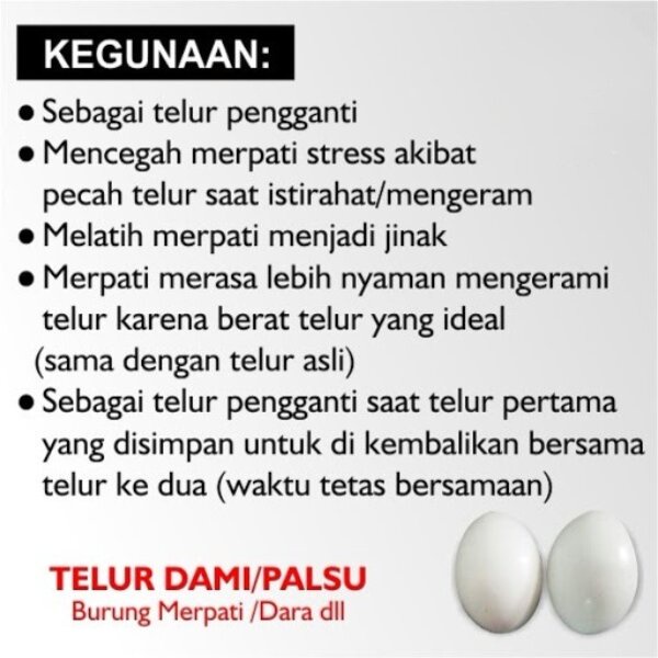 Telur Palsu Mainan Burung Merpati Imitasi Dummy Egg Dami Endog Plastik