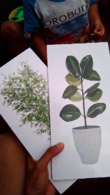 Hiasan Dinding Poster Kayu Al-240