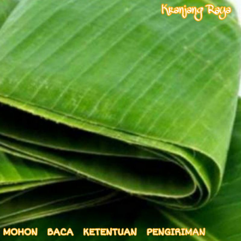 

Daun Pisang 1 Ikat (10 Lembar)