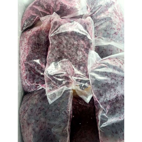 

BLUEBERRY FROZEN (GOSEND ONLY)