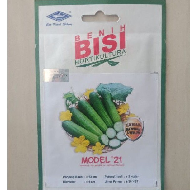 Benih Timun Lalap MODEL 21 (50 Btr) Bibit Lalab Bisi Cap Kapal Terbang