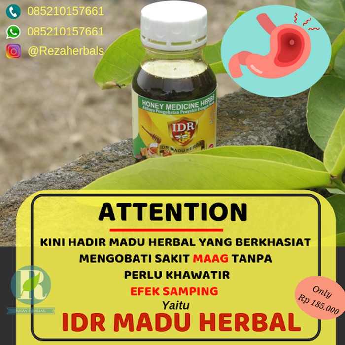 

Obat Maag | IDR MADU HERBAL - MMD1127