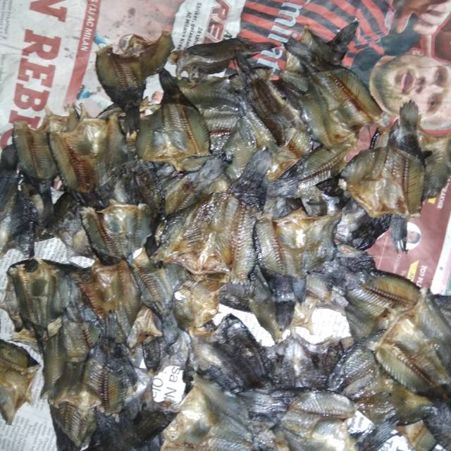 

Ikan asin betok