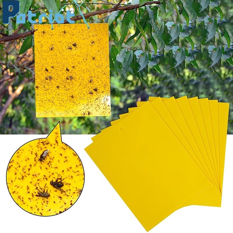 10pcs Dual-Sided Yellow Sticky Traps for Flying Plant Insect Such as Fungus Gnats, Whiteflies, Aphids, Leafminers,Thrips