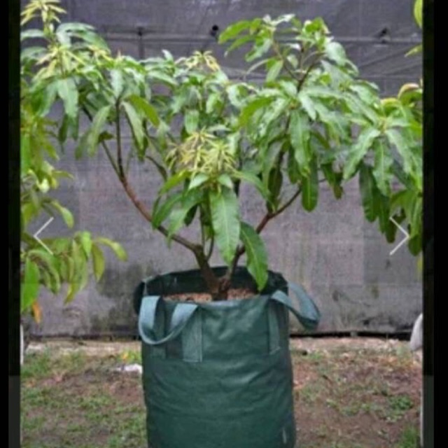 PLANTER BAG 200liter