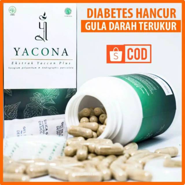 YACONA HERBAL PREMIUM ATASI DIABETES ASLI