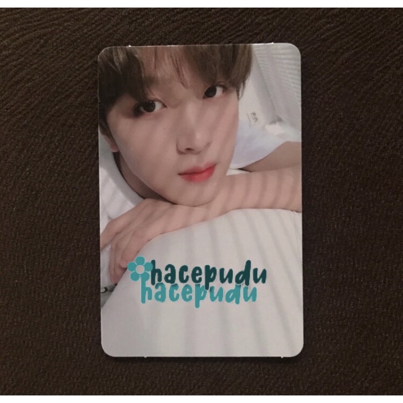 OFFICIAL PC NCT Haechan Regulate boboan WAJIB BULK