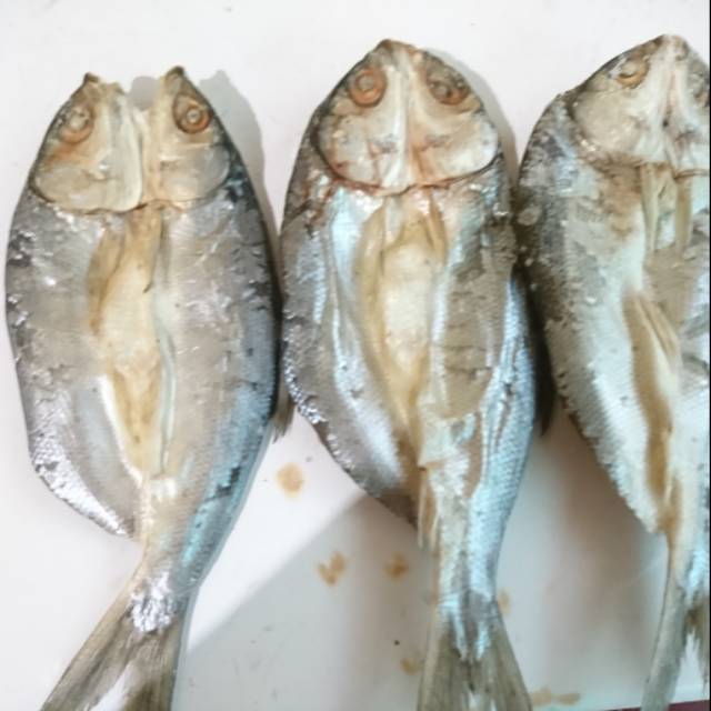 

ikan bandeng asin/ons