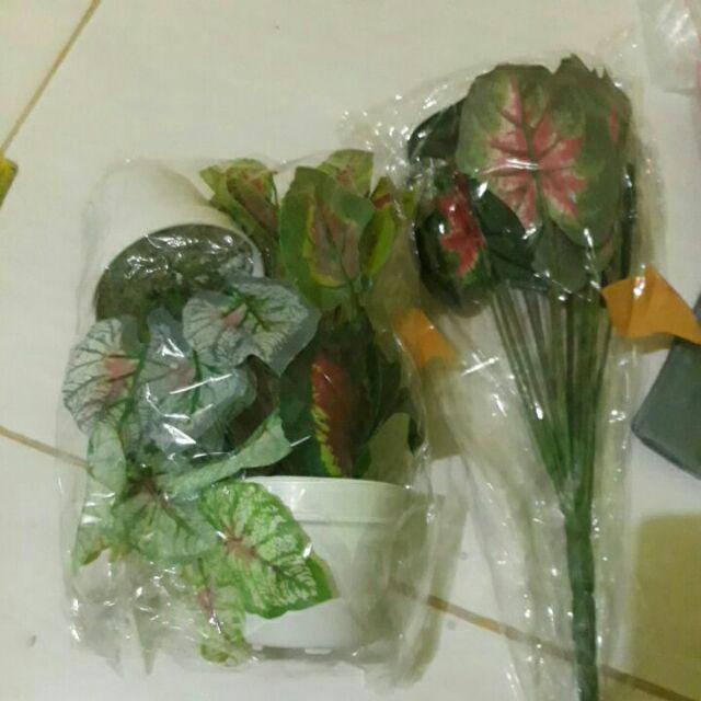 Tanaman Hias Artificial Daun Artificial Pohon Mini Monstera Aglaonema Keladi