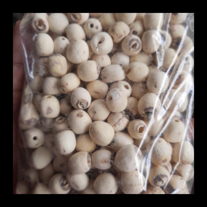 

TERBARU! BIJI TERATAI 250 GRAM /WHITE LOTUS SEED /LIANZHI/LIAN CI MURAH