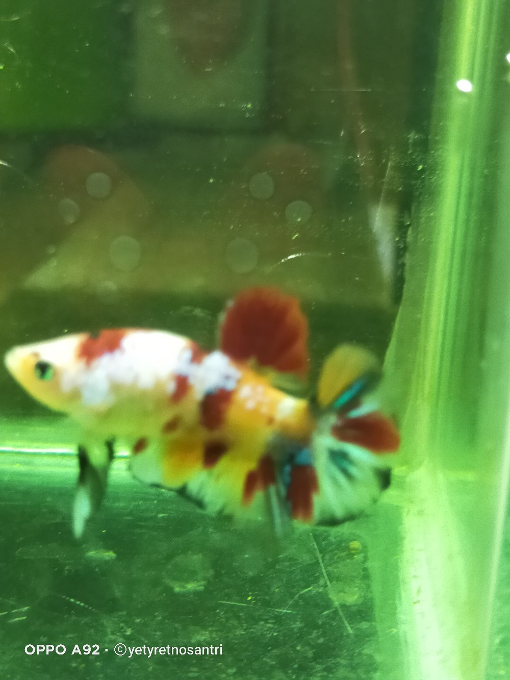 Couple Gamis Muslim Arabian Crepe Super • Couple Gamis Wanita • Couple Gamis Lebaran • Batik Couple