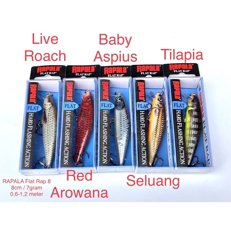 LURE MINNOW RAPALA XRCD7 Xrap Countdown 10gr 7cm