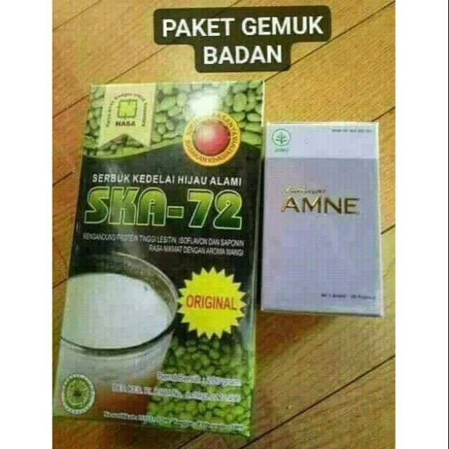 PAKET GEMUK NASA / Amne,SKAO /Obat Herbal Penggemukan