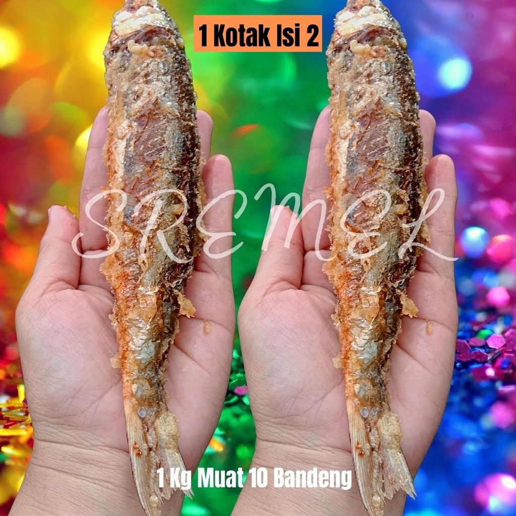 Otak Otak Bandeng Isi Daging Murni 1 Kotak Isi 2