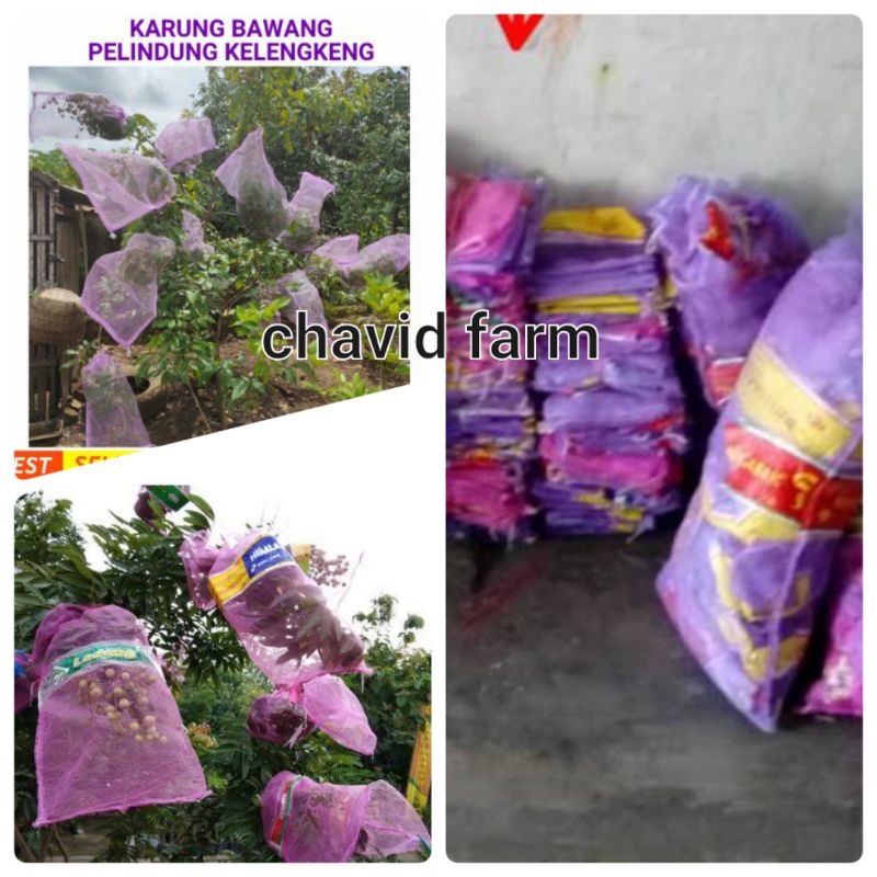 karung waring bawang pembungkus kelengkeng brongkos brongsong buah pelindung dari codot kelelawar se