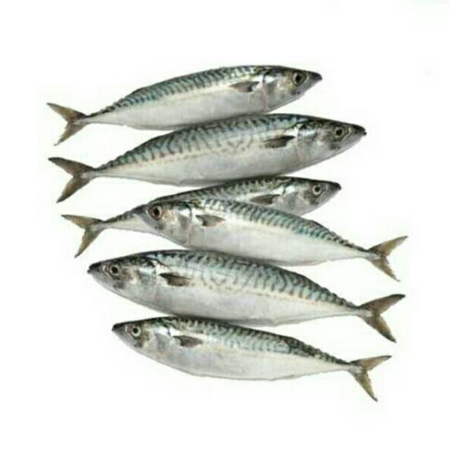 

Ikan kembung banjar