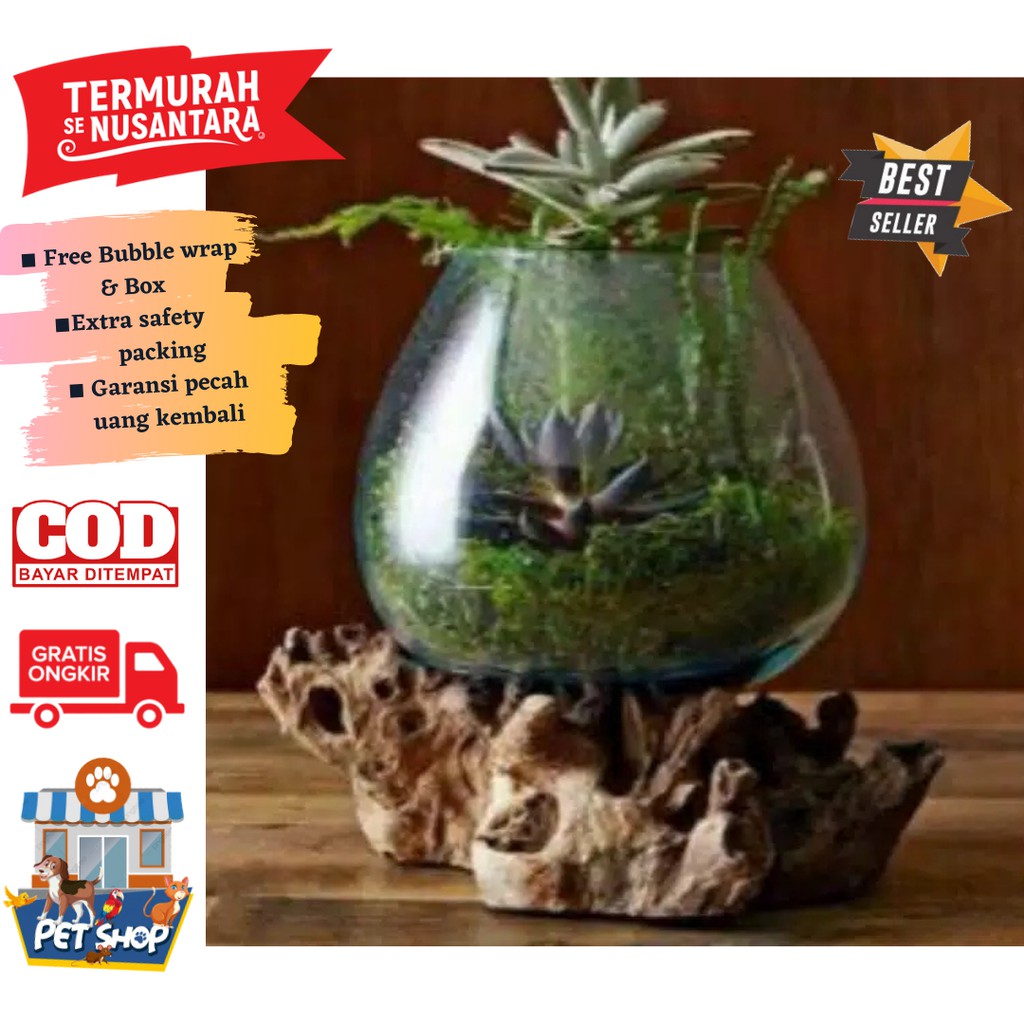 AQUARIUM IKAN CUPANG / SIZE M / AQUARIUM/ VAS BUNGA / AQUARIUM UNIK / AQUARIUM KAYU / AQUASCAPE