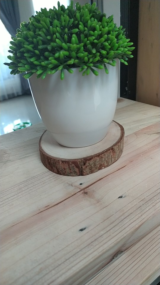 Wood Slice Potongan Kayu Mahoni Diameter 11 Cm