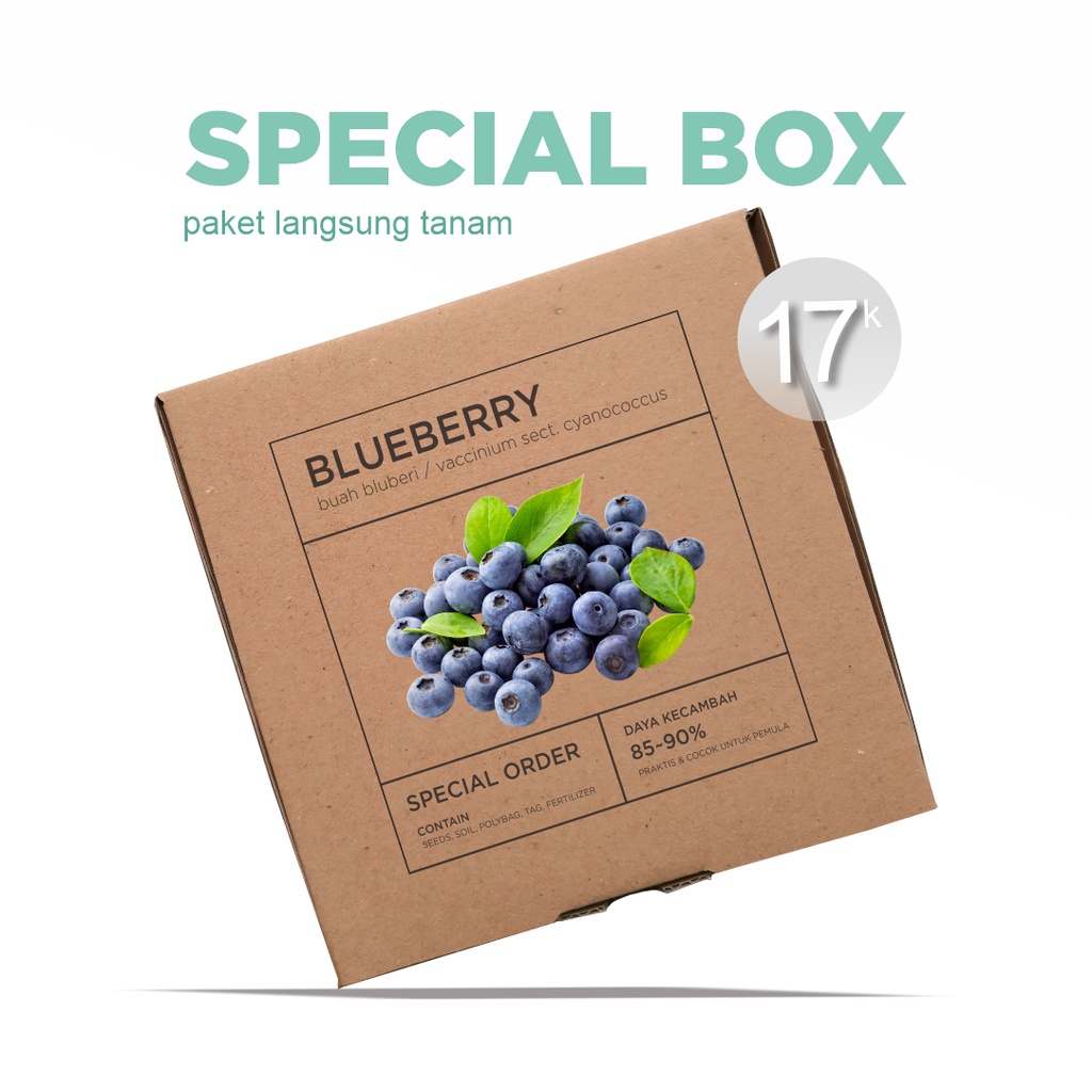 Paket Langsung Tanam - Gardening Kit - SPECIAL BOX - Benih Blueberry Bluberi Berry Berries Buah Beri Seeds