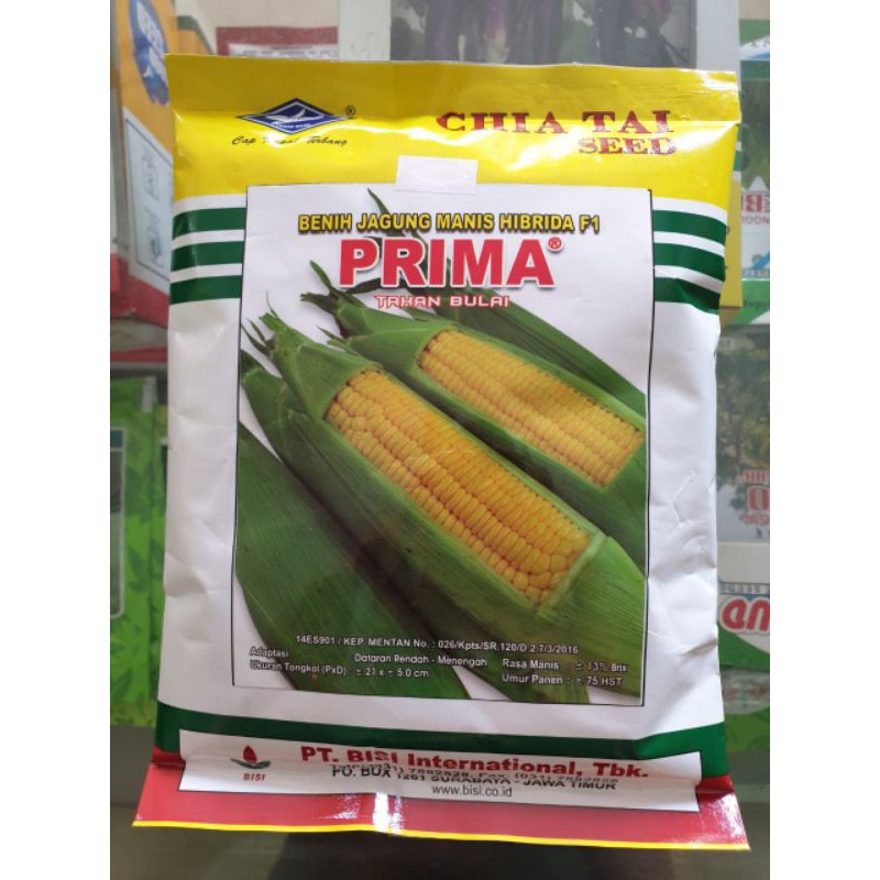 benih jagung manis hibrida bisi prima isi 250 gram