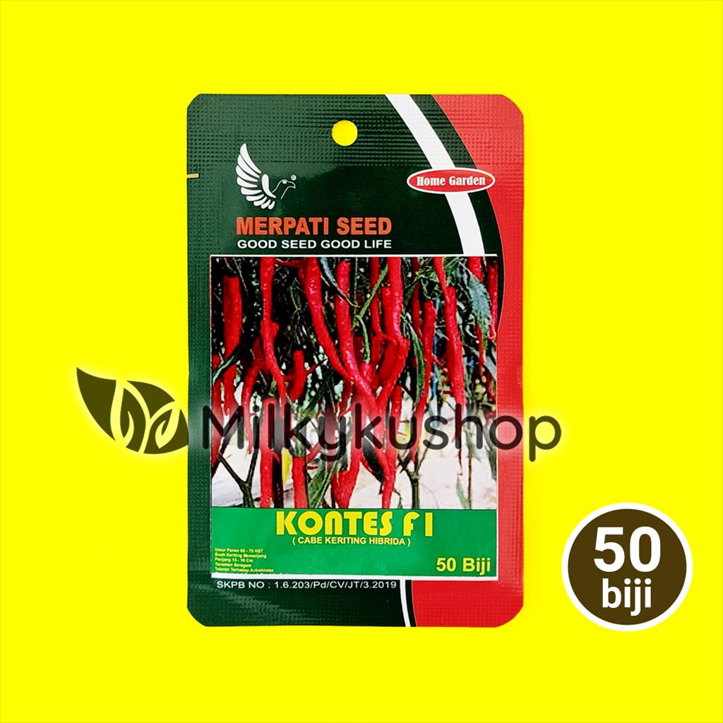 BENIH MERPATI SEED KONTES CABE KERITING 50 BIJI SACHET KEMASAN PABRIK