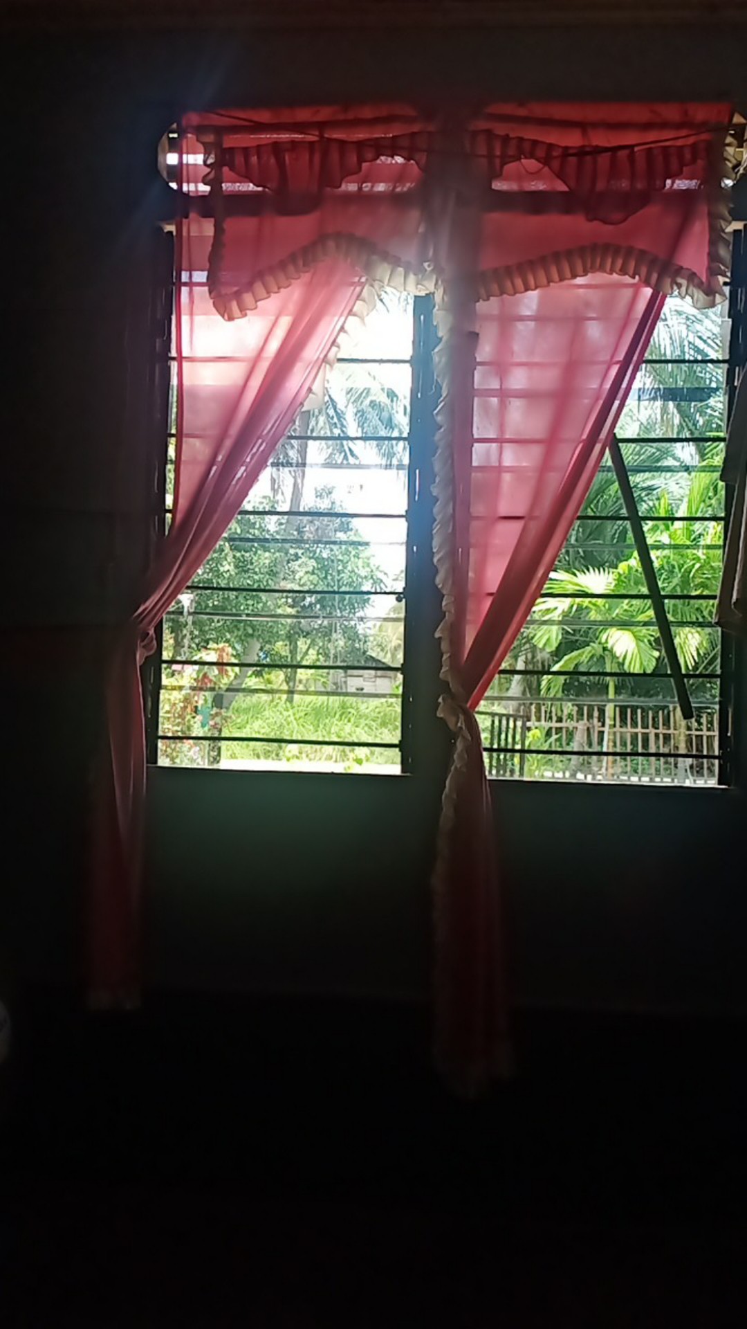 Benih Bibit Semangka Merah Redin Bisi Hg Cap Kapal Terbang Kemasan Asli