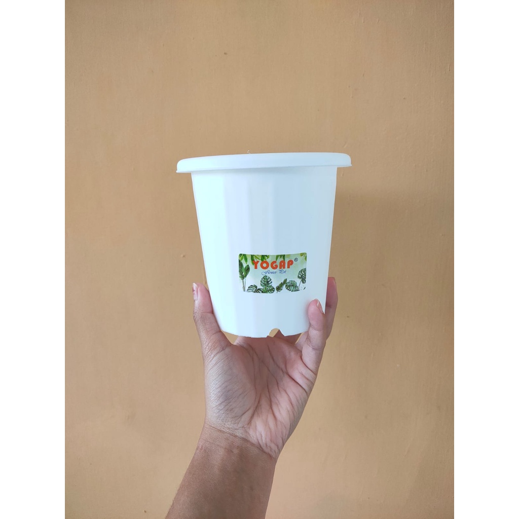 Packing Pot/ Paralon