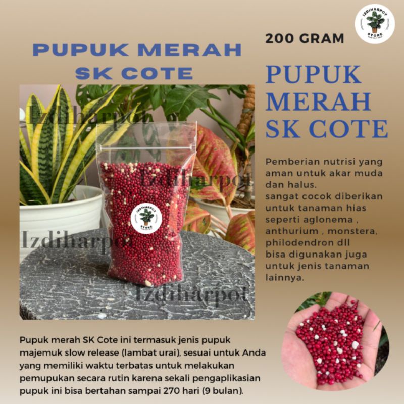 PUPUK MERAH SLOW RELEASE SK COTE PRECISE 19-10-13+2.5Mg0+TE 200 GRAM - REPACK SK COTE