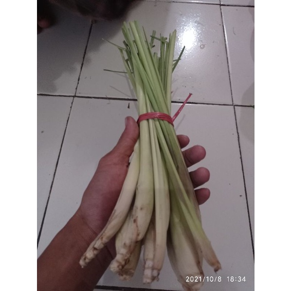 

sereh/serai fresh/ 250gram