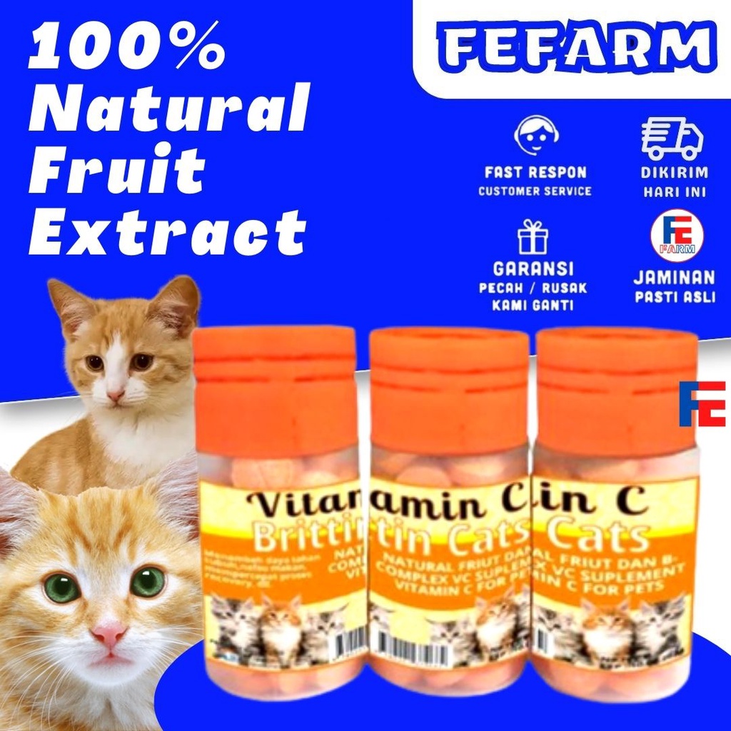 Suplemen Vitamin C Kucing Cats FEFARM