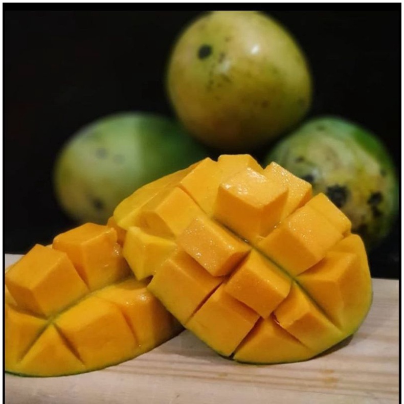 

Buah mangga segar mangga harum manis surga kebutuhan ku mangga indramayu mangga muda mangga alpukat fresh mango mangga golek mangga manalagi mangga apel mangga gedong gincu mangga kweni fresh fruit