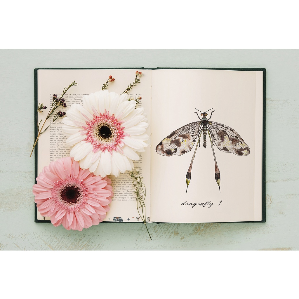 Watercolor Dragonflies Set