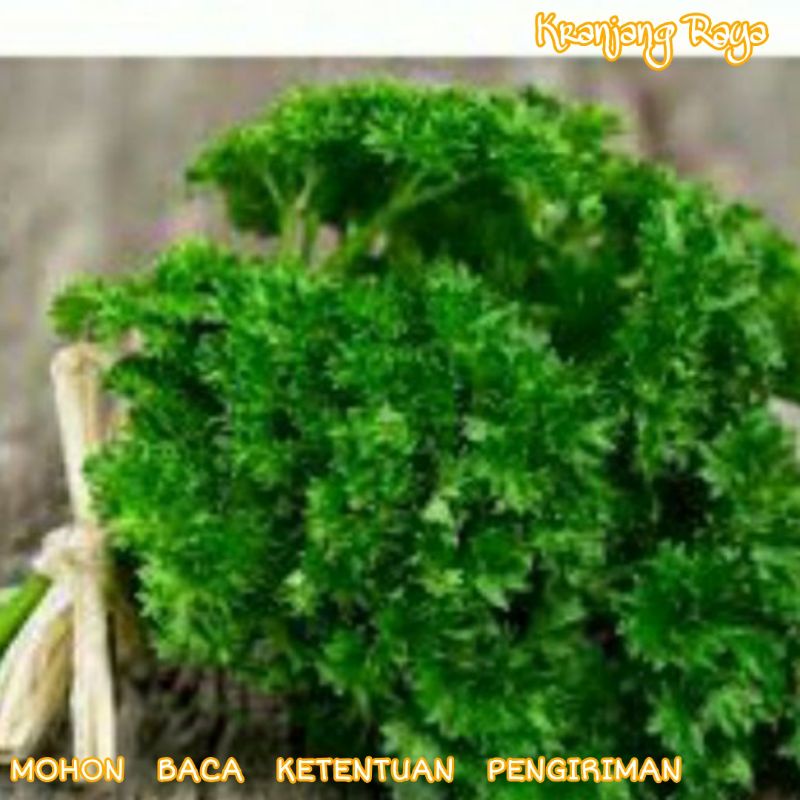 Daun Petersely / Parsley (ikat)