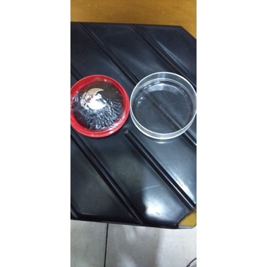 jengkol/Tanjab lurah/kades