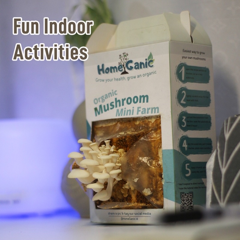 White Oyster Mushroom MiniFarm Kit - Mushroom Grow Kit - HomeGanic.id