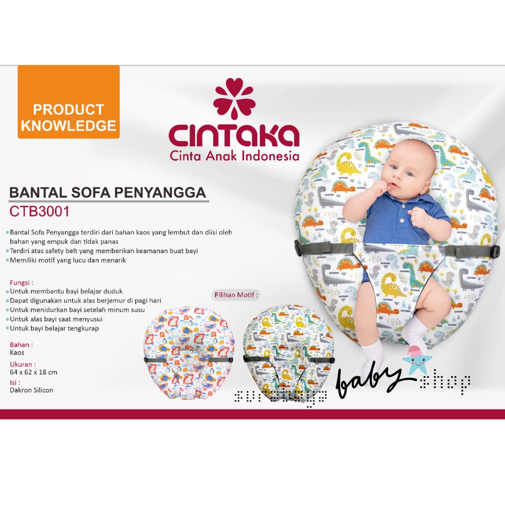 BANTAL SOFA PENYANGGA CINTAKA CTB30012