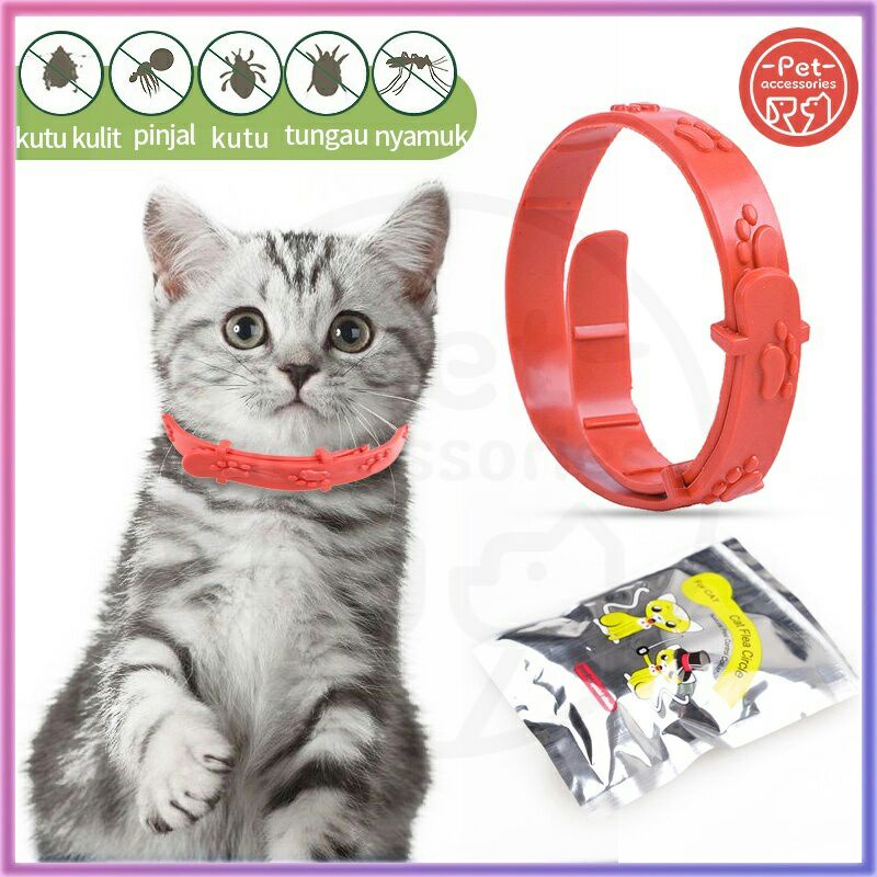 ~ PROMO ~ Kalung Anti Kutu Kucing Anjing Musang Otter Monyet Kelinci