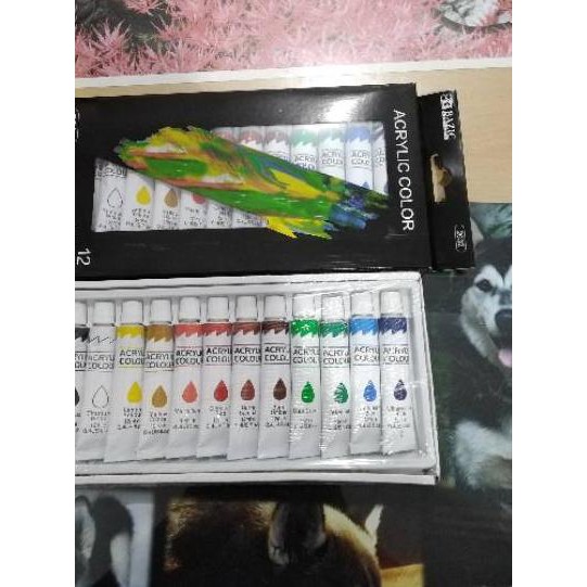 

HOT SALE!! (wgy-1272) Cat Acrylic Bazic / Cat Acrylic Vtro / Cat Air Vtro