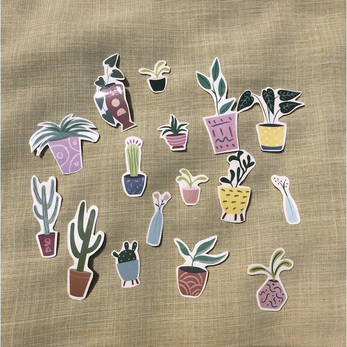

lots of cactus STICKER