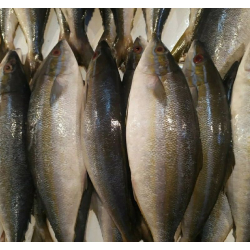 

ikan salmon lokal fresh 1kg