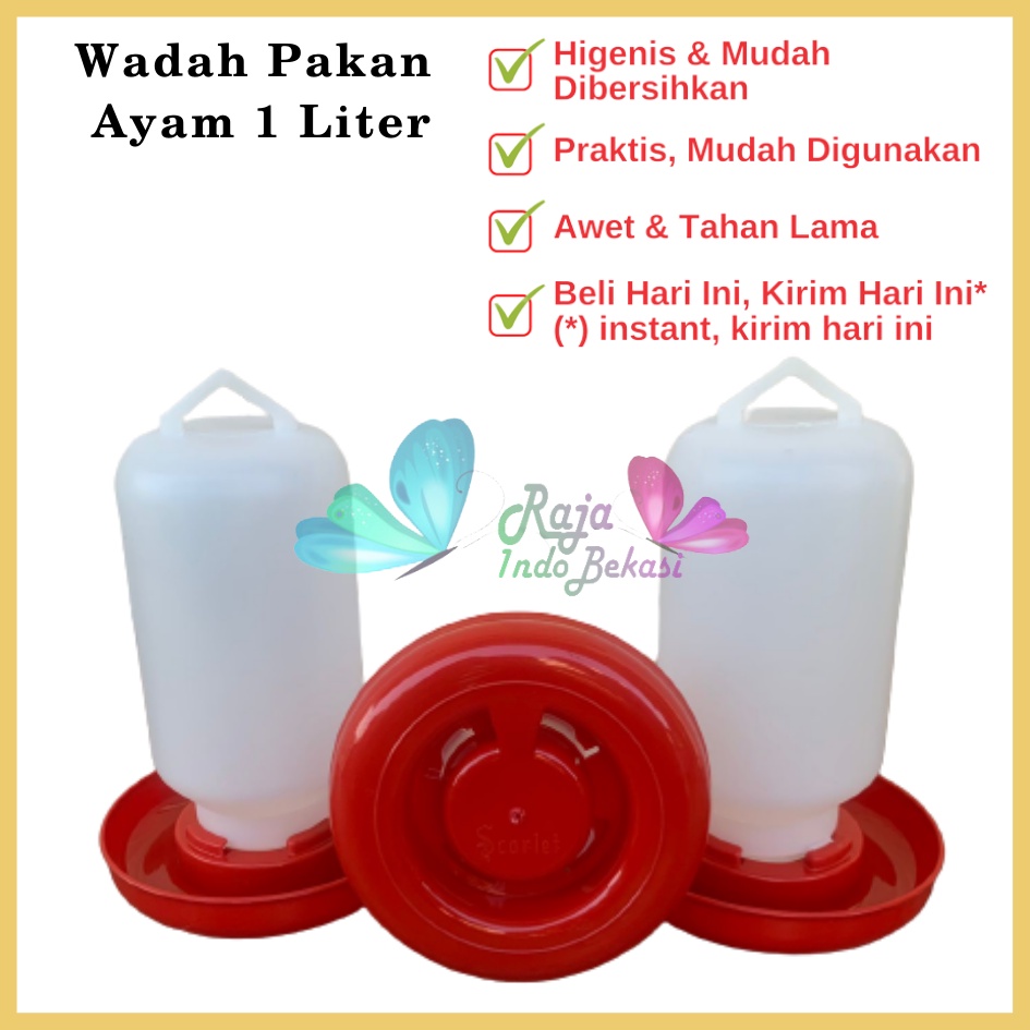 Tempat Makan Ayam Kapasitas 1 Liter 1 Kg SCARLET Wadah Pakan Ayam Anti Tumpah Ransum Wadah Makan Ayam Anakan Plastik 1 Kg - TEMPAT MAKAN AYAM / RANSUM / TRA1K MEDION KAPASITAS 1KG WADAH PAKAN BREEDING TERNAK ANAK AYAM RNS1KG