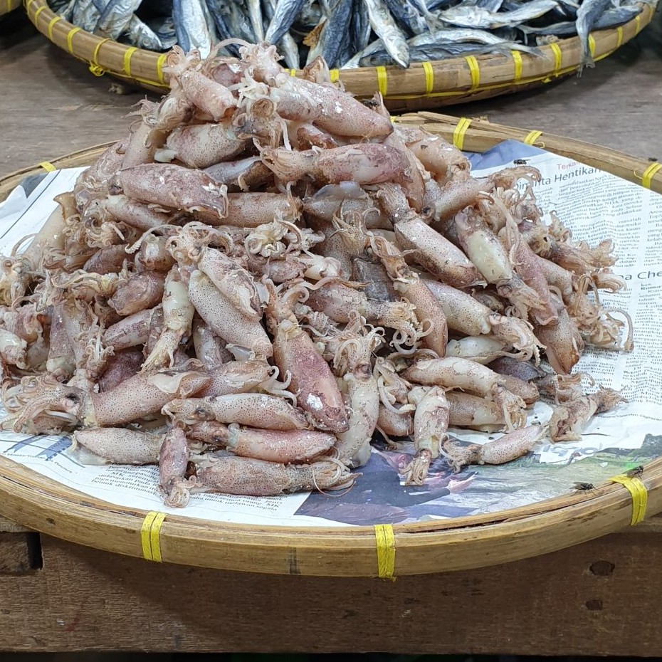 

Cumi Asin Besar 500 gr