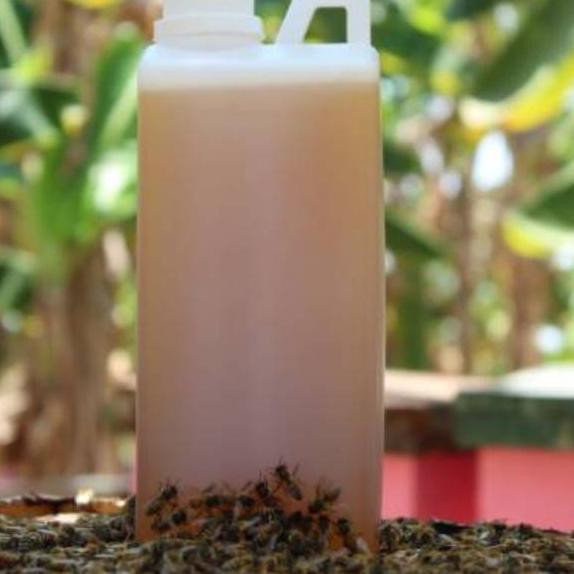 

(TERBARU) 1 liter Madu murni raw honey | Asli Tanpa Proses