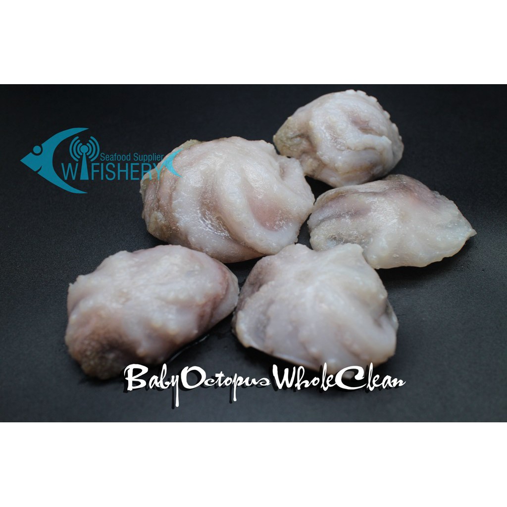 

Baby Octopus Whole Clean