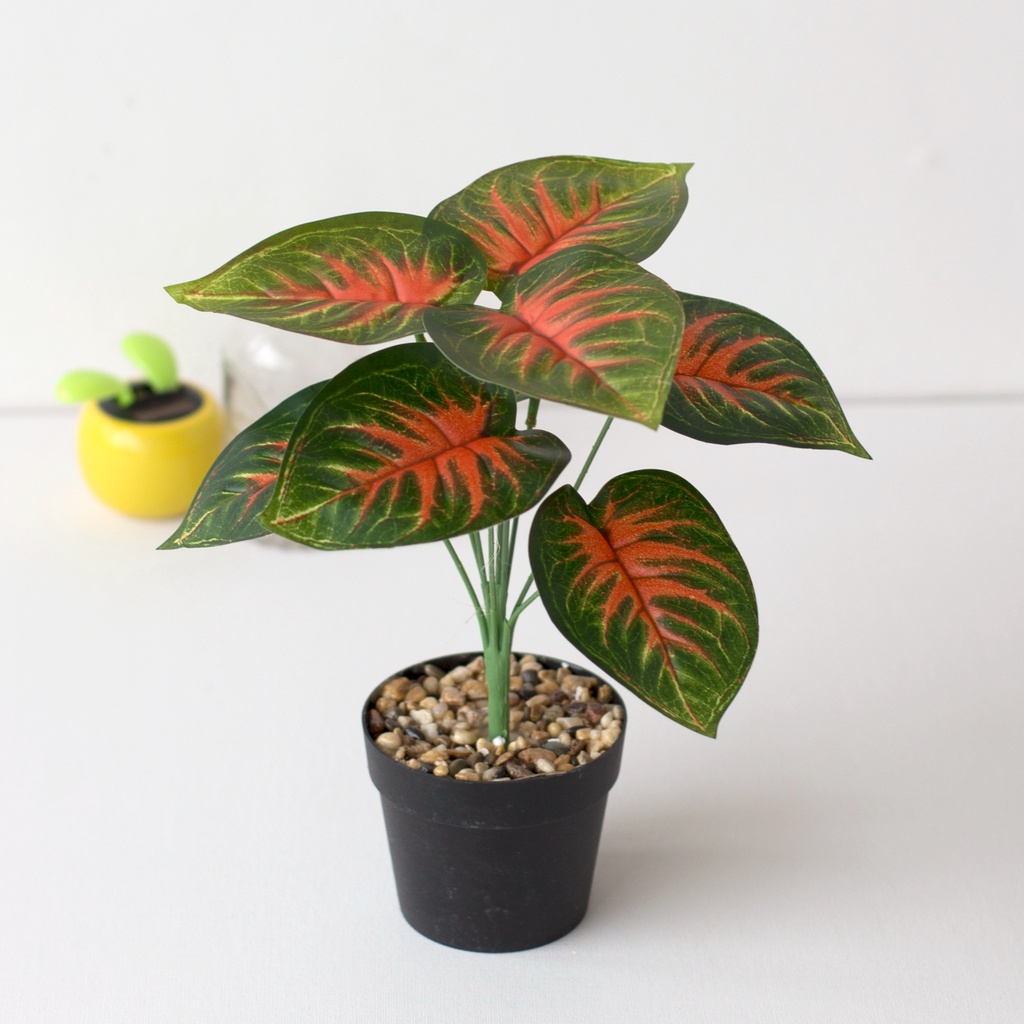 COD Tanaman Daun Plastik Artificial Flower Grey Potted Type White Heart