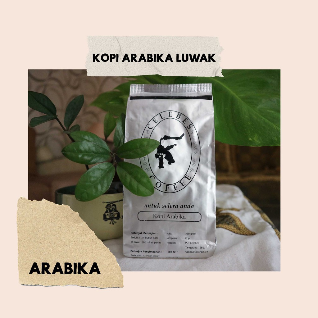 

Arabika Luwak